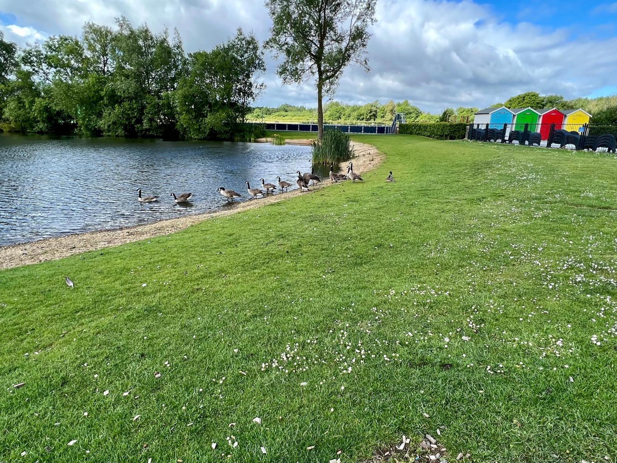 Lilly Pad Vila South Cerney Exterior foto